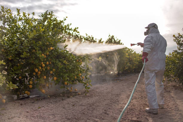 Best Pest Control Near Me  in Lovelock, NV