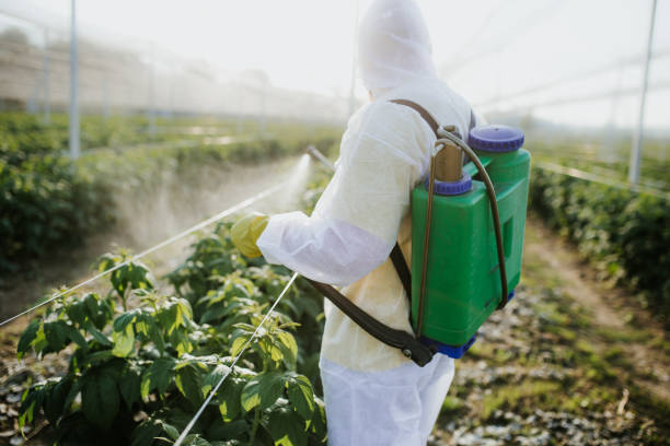 Best Pest Removal Services  in Lovelock, NV